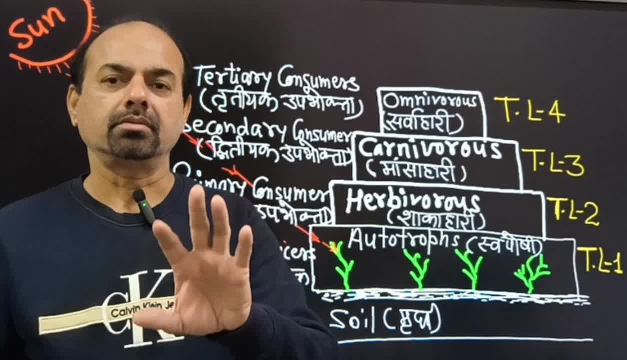 Lesson 3-Concept of Ecosystem