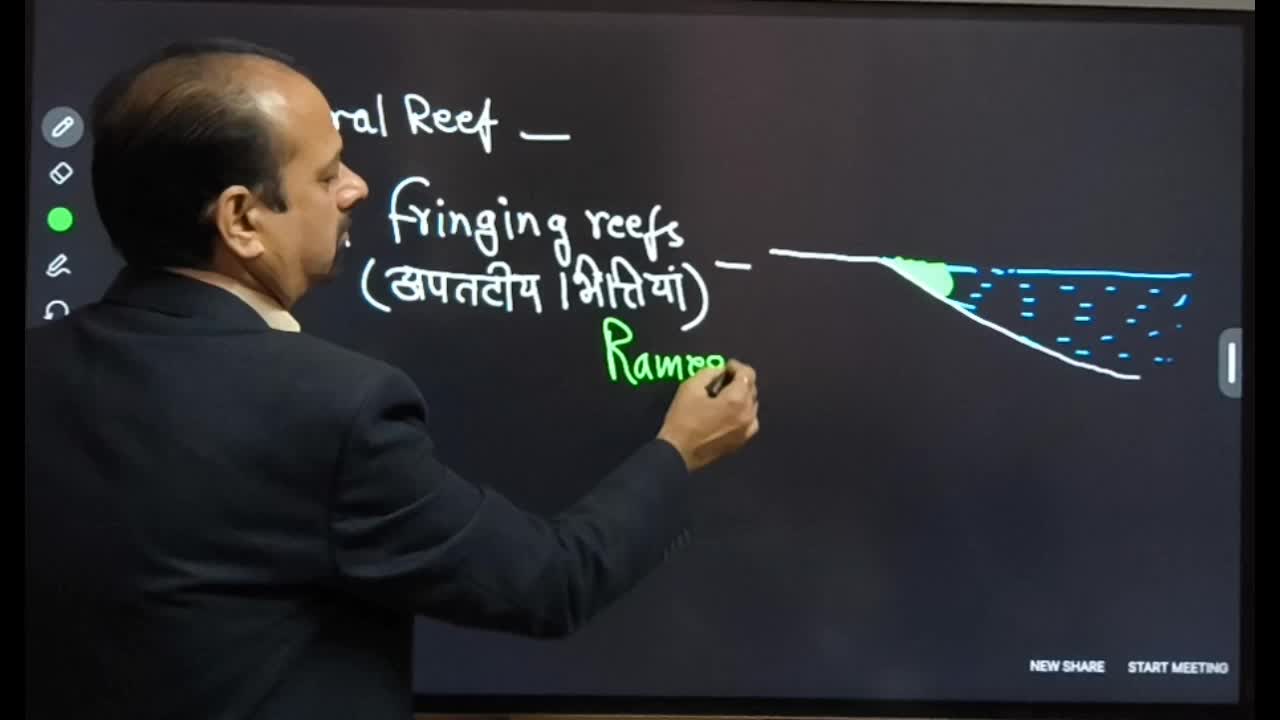 Lesson 5-Coral Reef